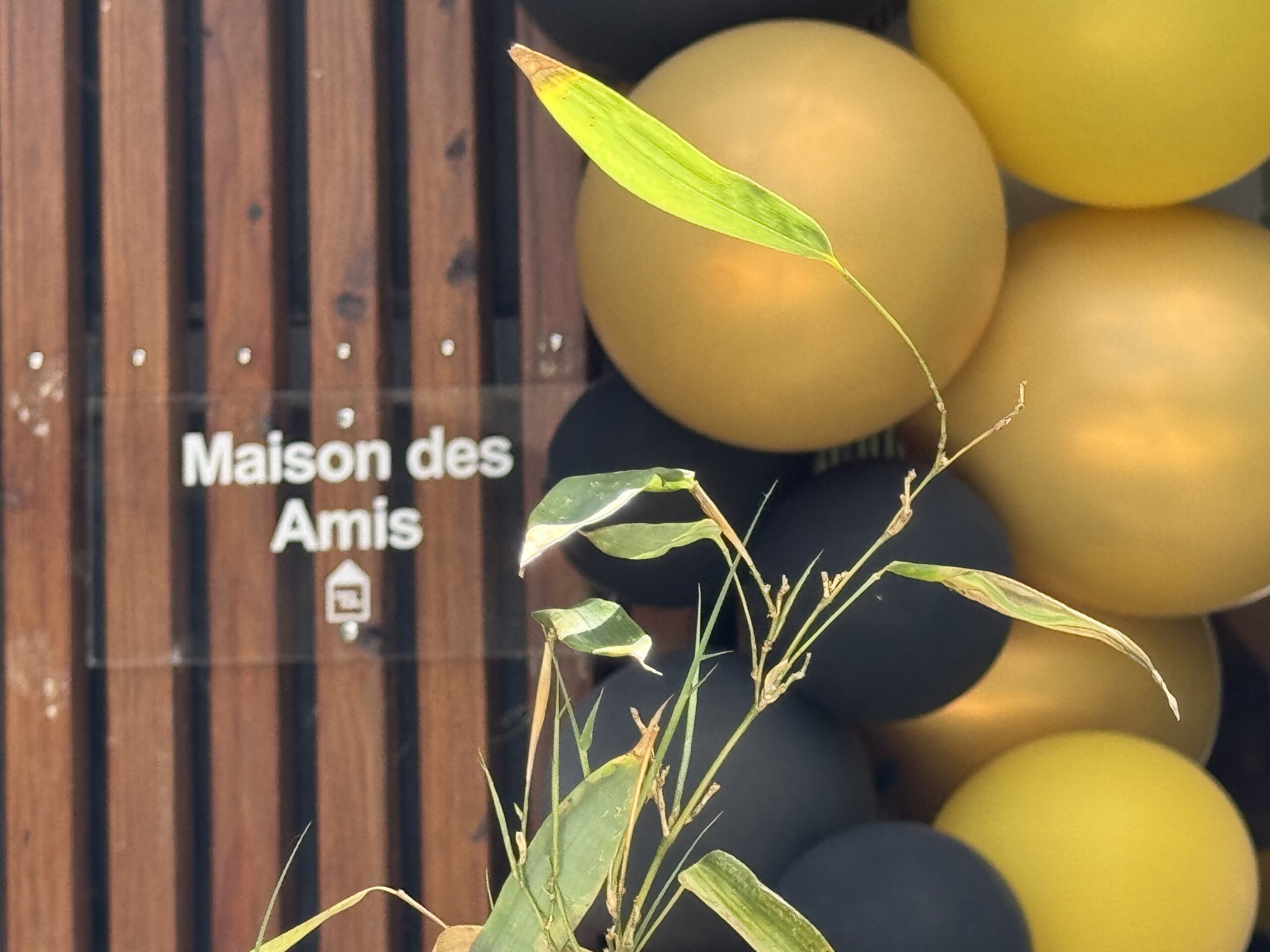 « La bande à MÉMO » fête 🎁 ses 2 ans à Montreuil 🏡